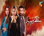 TO WATCHALL EPISODESCLICK THE LINK BELOW &#60;br/&#62; https://dailymotion.com/playlist/x7lgoe&#60;br/&#62;http://www.dailymotion.com/doody4100/playlists&#60;br/&#62;Written by Zanjabeel Asim Shah&#60;br/&#62;Directed by Zeeshan Ahmed&#60;br/&#62;Starring :Sonya Hussyn - Haroon Shahid - Sami Khan&#60;br/&#62;Rabab Hashim